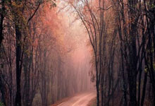 亚博体育包含圣安东尼奥马刺加时末段防线松动，志在NBA常规赛名次提升，信心回归，控场能力受关注的词条